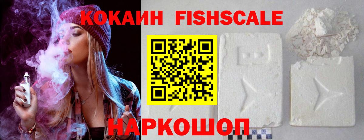 COCAIN Fish Scale  Вход с VPN  Братск  COCAIN Эквадор 