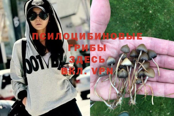 меф Алексин