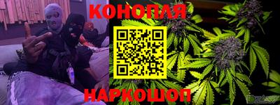 прущие грибы Апшеронск